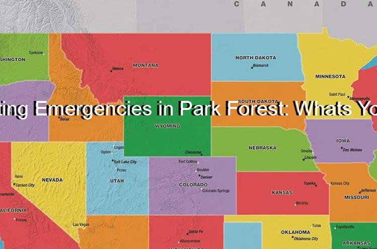 Navigating Emergencies in Park Forest: Whats Your Plan